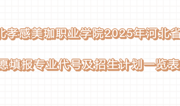 湖北孝感美珈职业学院2025年河北省志愿填报 专业代号及招生计划一览表