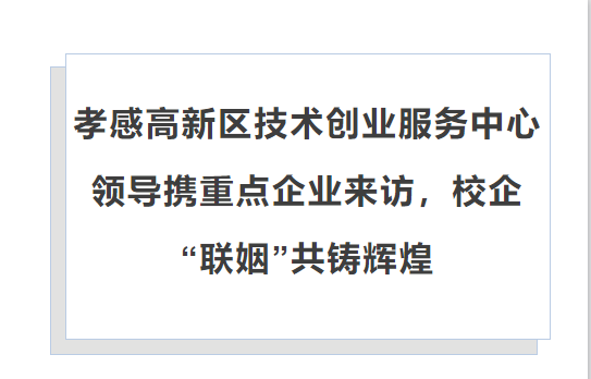 孝感高新区技术创业服务中心领导携重点企业来访，校企&ldquo;联姻&rdquo;共铸辉煌